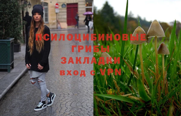 прущие грибы Снежинск
