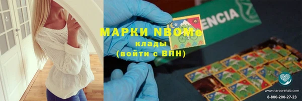 прущие грибы Снежинск