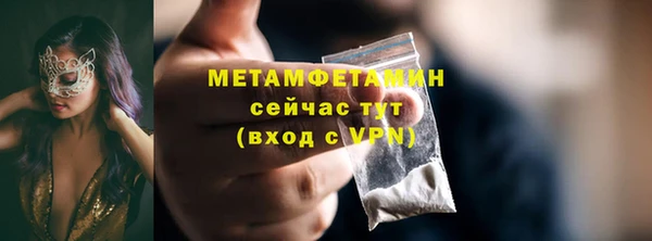 прущие грибы Снежинск