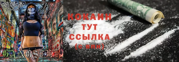 трава Снежногорск